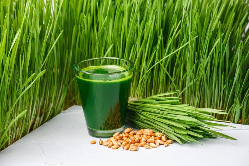 جوانه گندم سرشار از چه ترکیباتی است ؟