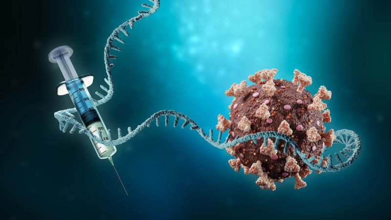 واکسن های mRNA کرونا؛ امیدی تازه در درمان سرطان