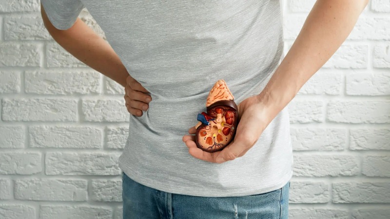 کار در شیفت شب و خطر سنگ کلیه؛ چرا شب‌ کاری می‌ تواند سلامت کلیه‌ ها را تهدید کند؟