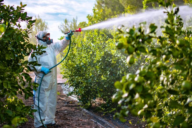 تأثیر نگران‌ کننده آفت‌ کش‌ ها بر رشد مغز کودکان؛ شواهد تازه از خطر کلرپیریفوس در دوران بارداری