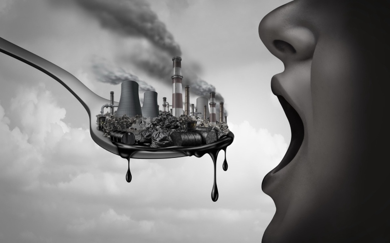 تغذیه مناسب در روزهای آلودگی هوا: راهنمای کامل برای حفظ سلامت بدن