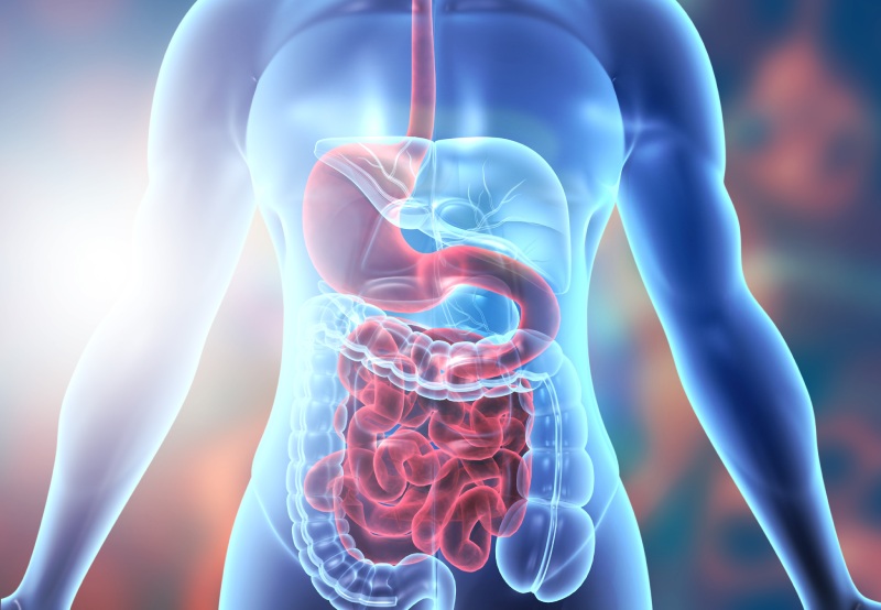 علائمی که نباید نادیده بگیرید: نشانه‌ های هشدار دهنده از بیماری‌ های خطرناک گوارشی و سرطان