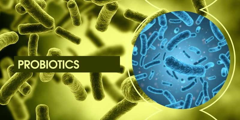 پروبیوتیک‌ ها و نقش حیاتی باکتری‌ های مفید در سلامت انسان