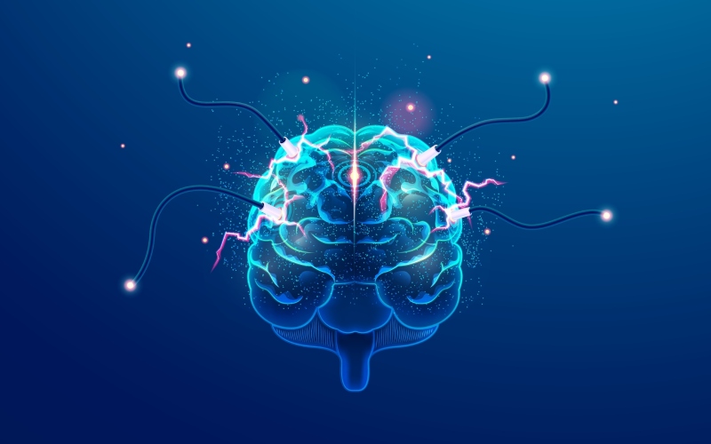 نوروساینس عاطفی چیست؟ بررسی علمی ارتباط مغز، احساسات و رفتار انسان