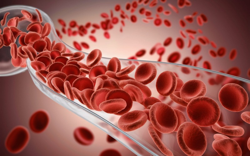 چگونه خون سالم می‌ تواند طول عمر و سلامت پیری را افزایش دهد؟