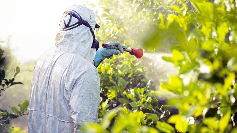 آیا آفت‌ کش‌ ها وارد بافت میوه و سبزیجات می‌ شوند؟ راهنمای کامل شست‌ و شو