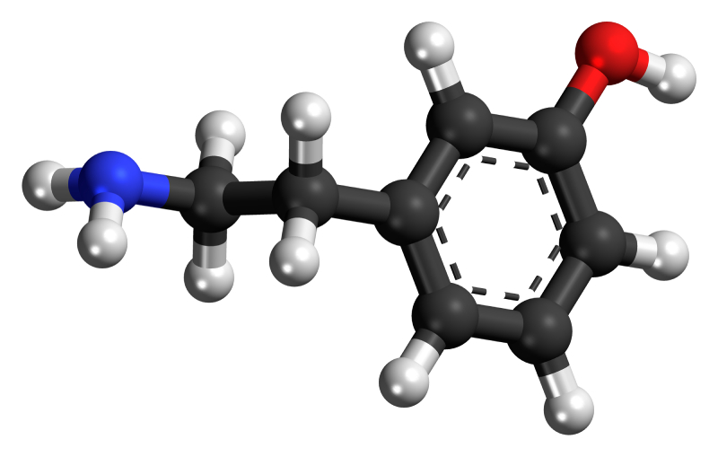 تیرامین چیست و چه کسانی باید از مصرف آن پرهیز کنند؟
