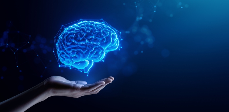 عوامل خطر مشترک سکته، زوال عقل و افسردگی