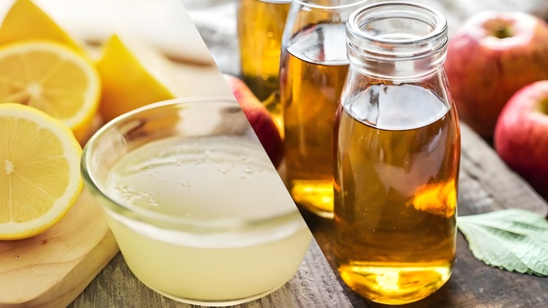 مقایسه سرکه سیب و آبلیمو برای تقویت هضم غذا و سلامت روده