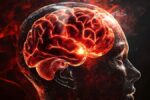 تاثیر گرمای شدید بر مغز؛ کاهش تمرکز، حافظه و قدرت تصمیم گیری