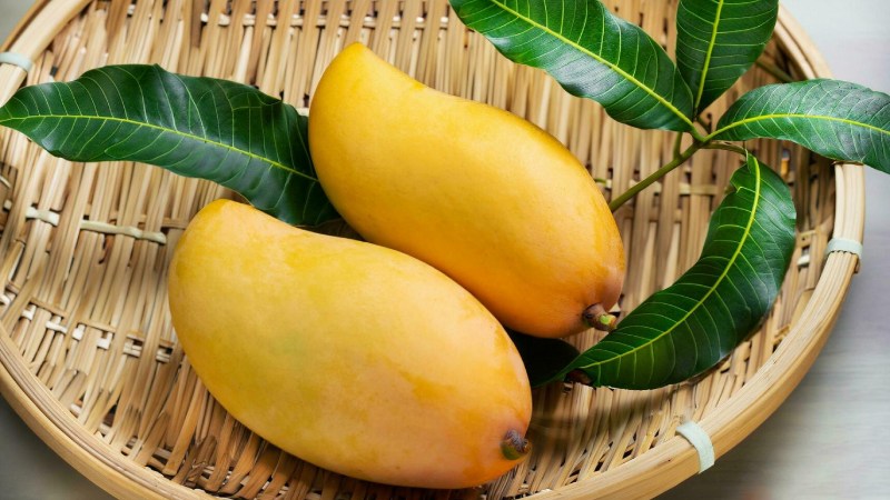 خواص انبه چیست؟ فواید، ارزش غذایی و مضرات احتمالی این میوه