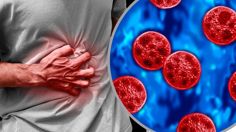 چگونه از ابتلا به سیکلوسپورا پیشگیری کنیم؟