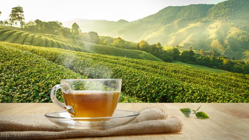 آیا نوشیدن چای در تابستان مضر است؟